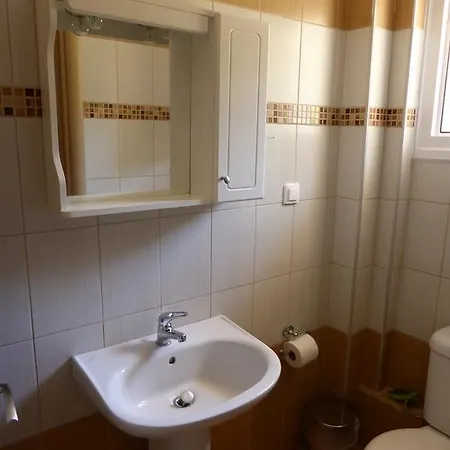 Apartment Perdikis - Paliouria *